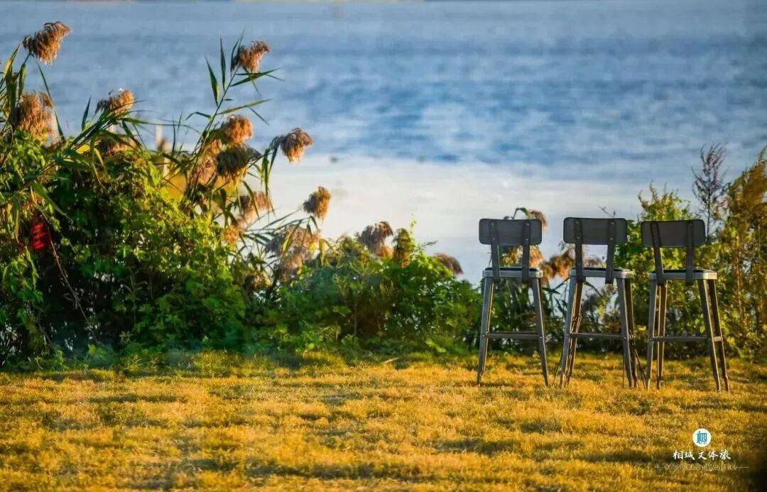 走苏通大桥的请注意了(图3)